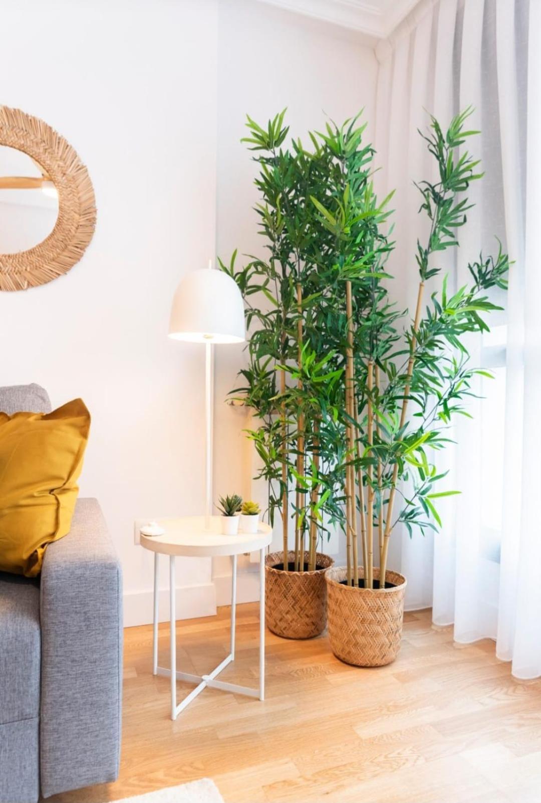 Apartamentos Rocamar Onís 外观 照片